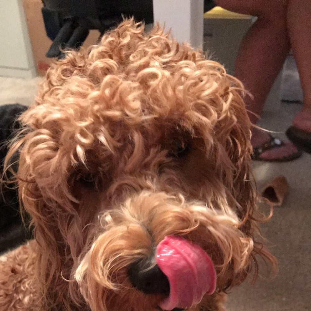 Meet your Posher, Teri